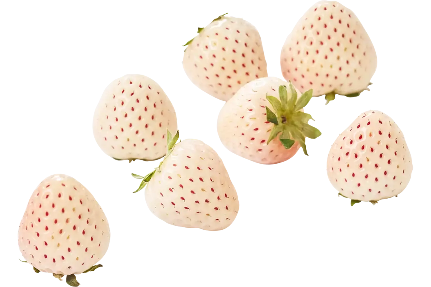 Whiteberry aardbeien 100gr. stuk 1